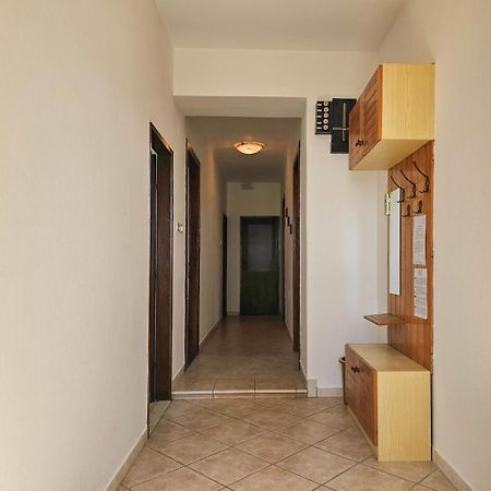شقة Stelia F. Novigrad Istria المظهر الخارجي الصورة